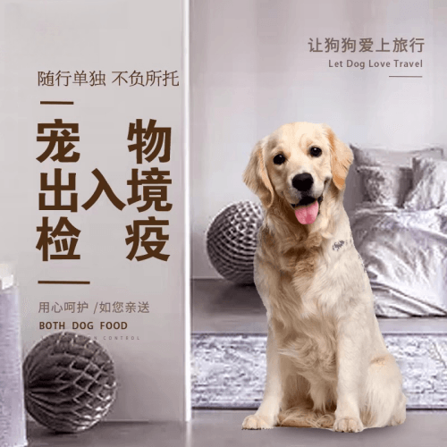 沧州市宠物托运到哥伦比亚猫狗宠物入境规定和
