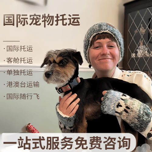 沧州市国际宠物托运到阿根廷宠物入境规定和要