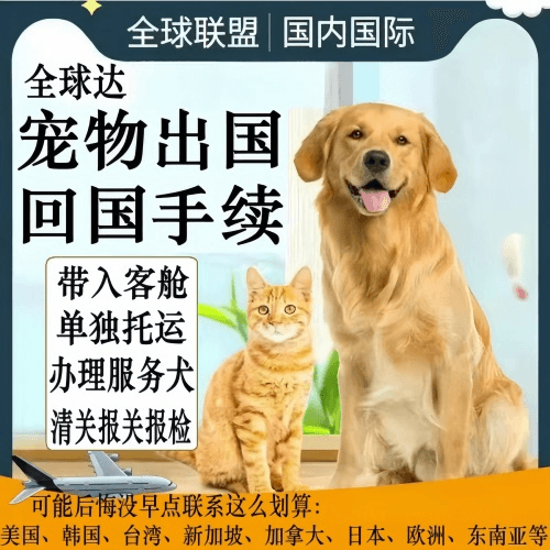 沧州市宠物托运到柬埔寨宠物入境规定和要求