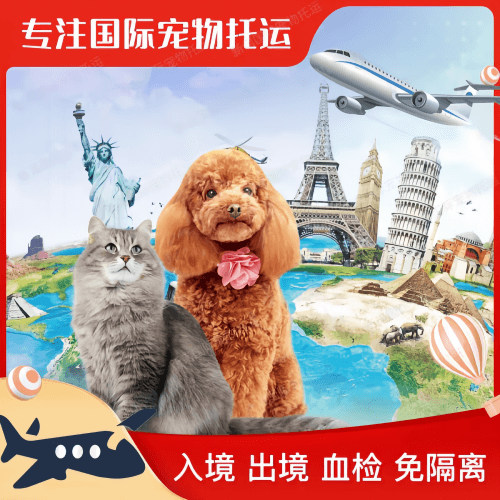 沧州市宠物托运到美国宠物入境最新规定和要求