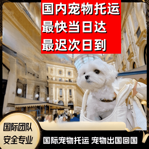 沧州市到澳大利亚（澳洲）宠物入境规定和要求