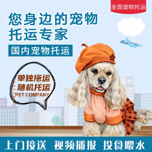 满财沧州市宠物全球达宠物托运作为专业的宠物运输代理机构